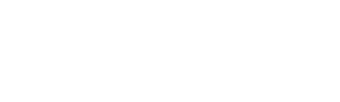 Chaosnewyorkcity